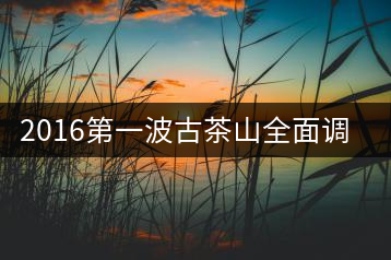 2016第一波古茶山全面調(diào)研第四站——臨滄·大雪山、小戶賽