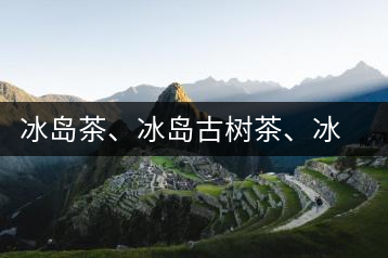冰島茶、冰島古樹茶、冰島茶區(qū)茶、冰島茶區(qū)古樹茶