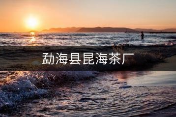 勐?？h昆海茶廠