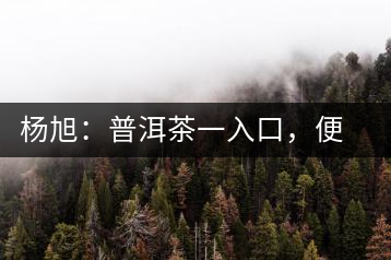 楊旭：普洱茶一入口，便知產(chǎn)地和年份