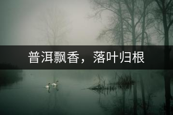 普洱飄香，落葉歸根