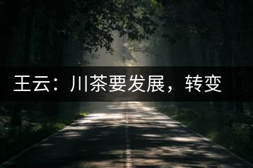 王云：川茶要發(fā)展，轉(zhuǎn)變思想是關(guān)鍵