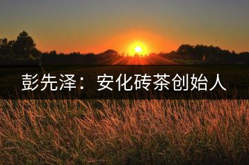 彭先澤：安化磚茶創(chuàng)始人