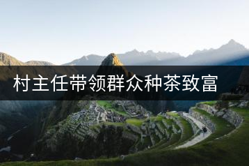 村主任帶領群眾種茶致富 村民豎起大拇指