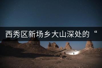 西秀區(qū)新場鄉(xiāng)大山深處的“茶山人家”