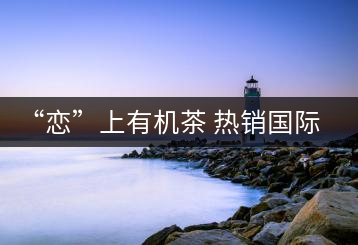 “戀”上有機茶 熱銷國際市場