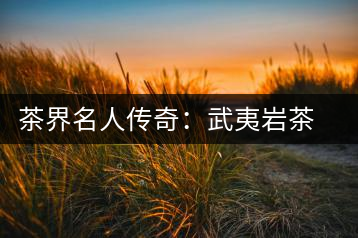 茶界名人傳奇：武夷巖茶泰斗姚月明