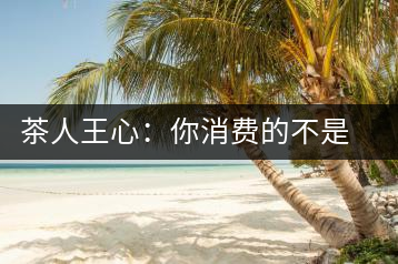 茶人王心：你消費(fèi)的不是茶，是我