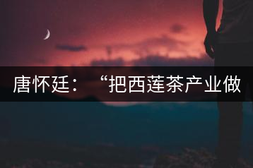 唐懷廷:“把西蓮茶產(chǎn)業(yè)做得更好”