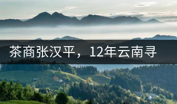 茶商張漢平，12年云南尋茶路