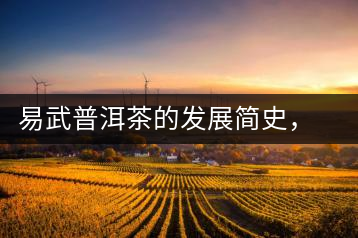 易武普洱茶的發(fā)展簡(jiǎn)史，昔日的貢茶如今依然輝煌