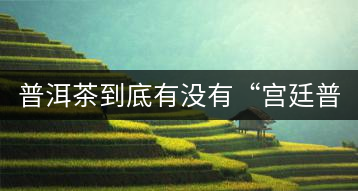 普洱茶到底有沒有“宮廷普洱”一說？它到底是什么？