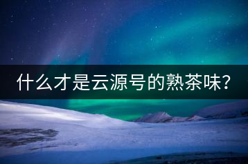 什么才是云源號(hào)的熟茶味？