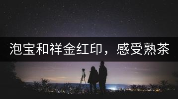 泡寶和祥金紅印，感受熟茶之美。