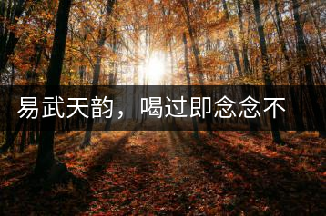 易武天韻，喝過(guò)即念念不忘的茶中皇后