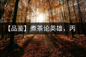 【品鑒】煮茶論英雄，丙申年易武麻黑