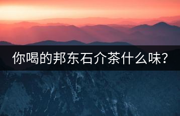 你喝的邦東石介茶什么味？