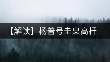 【解讀】楊普號(hào)圭臬高桿茶：形高、氣足、韻遠(yuǎn)的一款茶