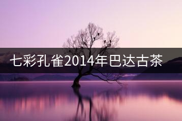 七彩孔雀2014年巴達(dá)古茶山開(kāi)湯品鑒