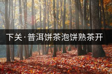 下關(guān)·普洱餅茶泡餅熟茶開湯品鑒
