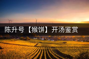 陳升號【猴餅】開湯鑒賞篇:沖泡【猴餅】有哪些需要注意的