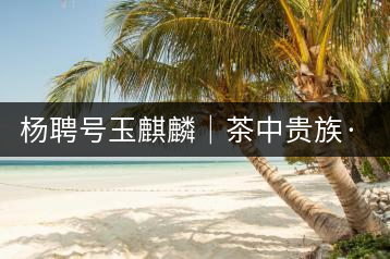 楊聘號(hào)玉麒麟|茶中貴族·冰島古樹