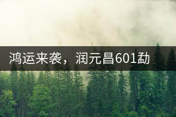 鴻運來襲，潤元昌601勐海紅韻熟茶即將上市