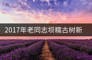 2017年老同志壩糯古樹新品上市