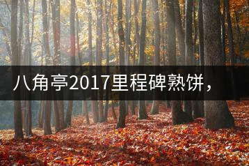 八角亭2017里程碑熟餅，自先發(fā)酵而后愛(ài)人