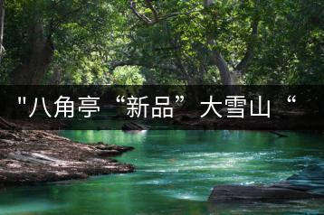 “八角亭“新品”大雪山“即將上市，期待您的品茗！