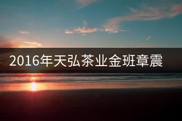 2016年天弘茶業(yè)金班章震撼上市！
