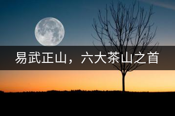 易武正山，六大茶山之首
