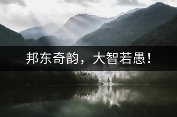 邦東奇韻，大智若愚！