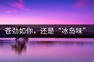 蒼勁如你，還是“冰島味”嗎？