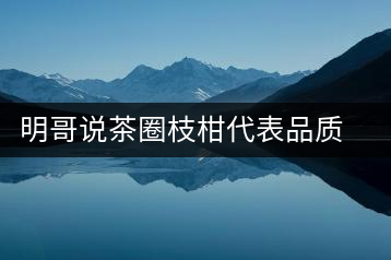 明哥說茶圈枝柑代表品質高點，是玩家級的產品