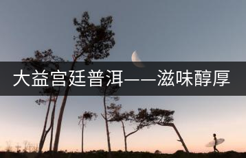 大益宮廷普洱——滋味醇厚，陳香濃郁