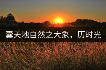 囊天地自然之大象，歷時(shí)光十載流轉(zhuǎn)-皇茶一號(hào)