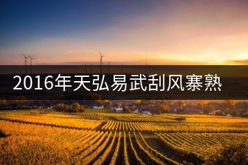 2016年天弘易武刮風(fēng)寨熟茶一泡耐人尋味！