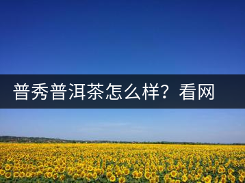 普秀普洱茶怎么樣？看網(wǎng)友精彩回答