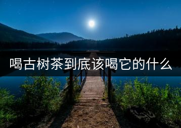 喝古樹茶到底該喝它的什么？