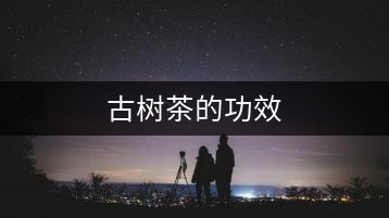 古樹(shù)茶的功效