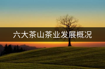 六大茶山茶業(yè)發(fā)展概況