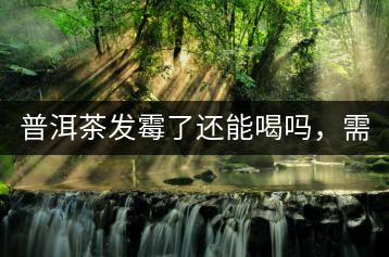 普洱茶發(fā)霉了還能喝嗎，需要怎么處理？