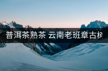 普洱茶熟茶 云南老班章古樹(shù)茶金芽特級(jí)熟茶357g大餅茶葉 久樽正品