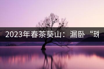2023年春茶葵山：漏臥“珠江紅：1200元-3200元（有3個(gè)檔次）漏臥“大廠茶”：古樹單株8600-9000元／公斤，中樹4800-5200元／公斤，小樹混采2600-2800元／公斤。