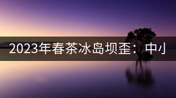 2023年春茶冰島壩歪：中小樹800元／公斤，古樹1400-1600元／公斤