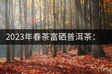 2023年春茶富硒普洱茶：1.富硒有機(jī)手工生普，市場指導(dǎo)價(jià)800元／公斤；2.富硒有機(jī)一級紅茶，市場指導(dǎo)價(jià)800元／公斤；3.富硒有機(jī)熟普餅，市場指導(dǎo)價(jià)1000元／公斤；4.富硒有機(jī)月光白茶，市場指導(dǎo)價(jià)800元／公斤。