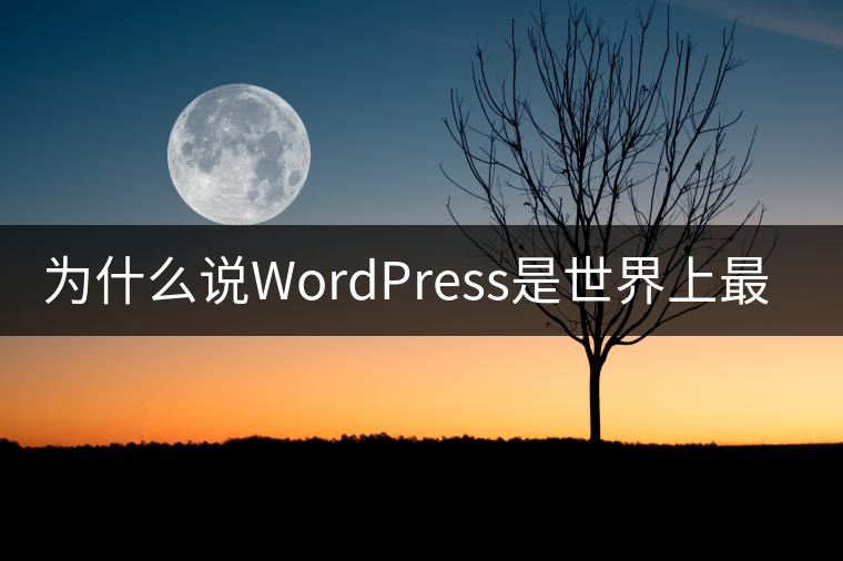 為什么說(shuō)WordPress是世界上最好的CMS？