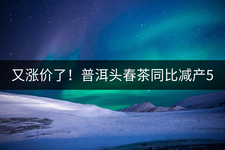又漲價了！普洱頭春茶同比減產(chǎn)50%，薄荷塘一類鮮葉需當(dāng)面議價