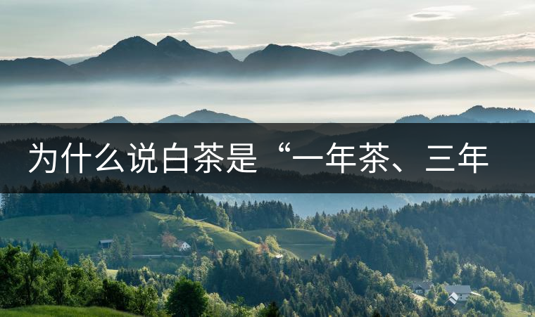 為什么說白茶是“一年茶、三年藥、七年寶”?為什么說白茶是“一年茶、三年藥、七年寶”？